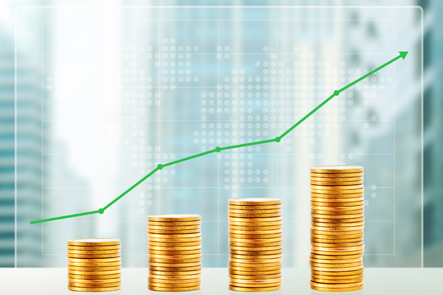 Adding Value to Economy