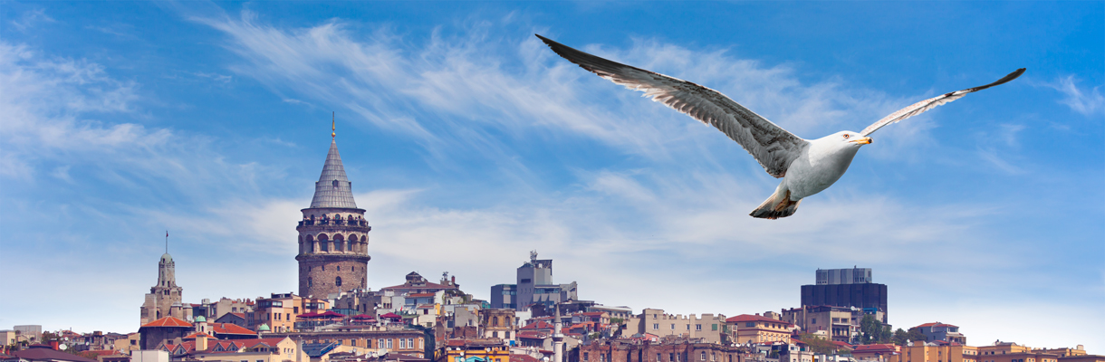 The Istanbul Corporate Idendity